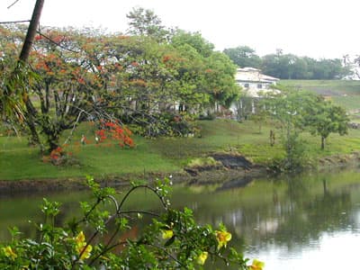 HOTEL-FAZENDA  - INFRA-ESTRUTURA COMPLETA - LAZER- PECUÁRIA - LAVOURA - 35 KM DE S. CARLOS