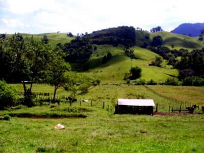 SITIO FORMADO c/ 9,96 ha - PRÓX AO CENTRO - CAMINHO PAIOL GDE  - DOCS OK -  PEQ CASA 50m²C